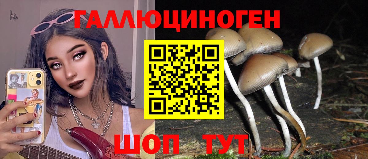 Псилоцибиновые грибы MAGIC MUSHROOMS  Вход с VPN  Волжский  где продают наркотики  Галлюциногенные грибы GOLDEN TEACHER 